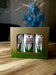 Aloe Berry Nectar*3